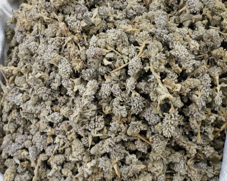 中药材野生新货 密蒙花 蒙花珠 老蒙花 水锦花 花茶 500克16包邮