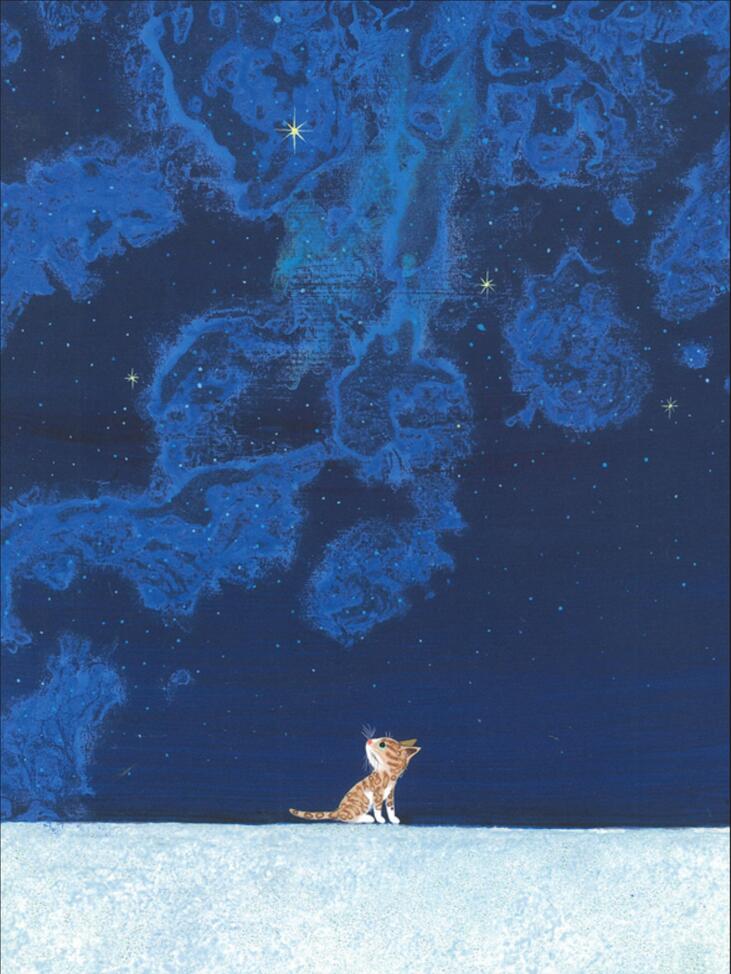 日本山猫堂仰望星空猫咪挂画壁画无框装饰画4030尺寸两幅九折包邮