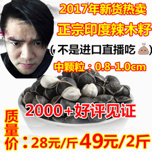 500g滋补品 纯天然正宗野生食用种子特级散装 包邮 辣木籽印度进口