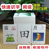 6岁启蒙早教卡 幼儿童认字大卡片智乐仓3 全套 宝宝看图识字卡片