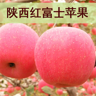 17年陕西富平县苹果冰糖心新鲜水果胜洛川烟台10斤包邮红富士现卖