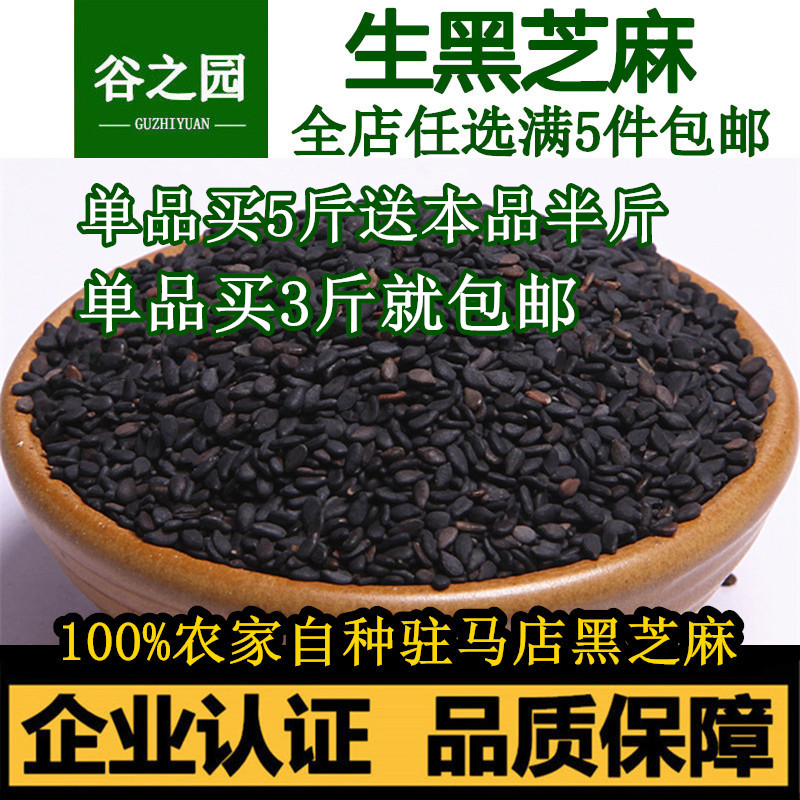 16年新粮精选驻马店农家黑芝麻纯天然生黑芝麻干净无染色乌发500g