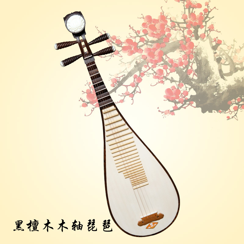 与琵琶演奏方式一样的乐器是什么-与琵琶在演奏方式属上于同一类的是什么乐器?_大全网