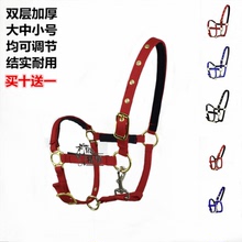 精骑马具马笼头水勒缰绳口嚼马术用品大马小马笼头马鞍配件马龙头