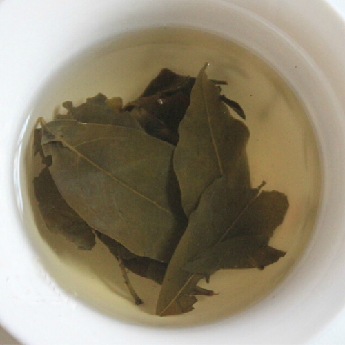 包邮贵州特产野生苦丁茶 遵义苦茶特级大叶小叶500g 两份送一斤