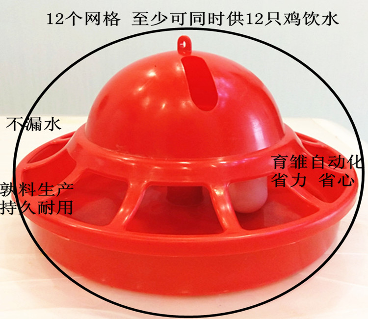 雏鸡专用自动饮水器网格雏鸡饮水器喂水壶育雏自动饮水器漂浮饮水