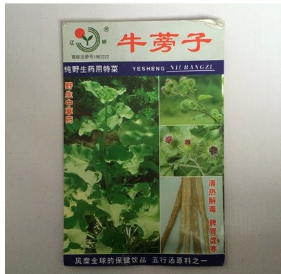 纯野生药用特菜 牛蒡子种子 野生中草药 清热解毒 脾胃虚寒 保健