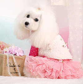 推荐最新西西cf秒杀挂一枪400 cf秒杀挂一枪20