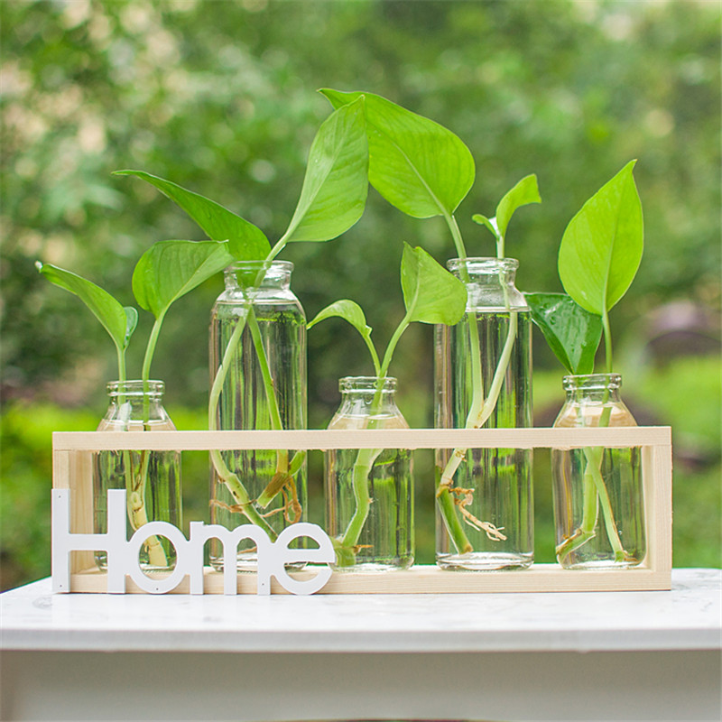 透明玻璃小清新插花器家居客厅餐桌台面装饰摆件创意绿萝水培花瓶图片