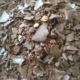 [茶枯粉洗发]评价 茶枯粉有毒怎么样