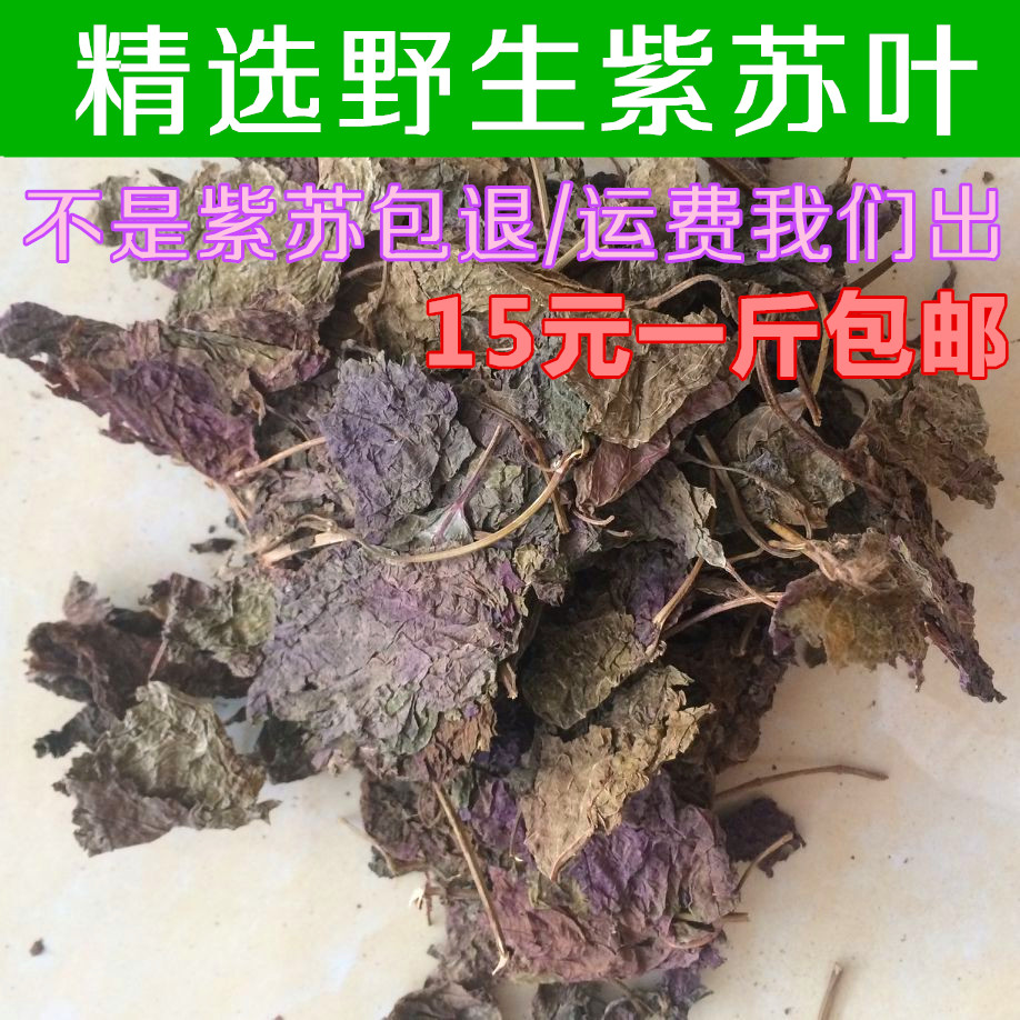 紫苏 中药材野生紫苏叶 紫苏叶香料 去腥去异味500g包邮 免费磨粉