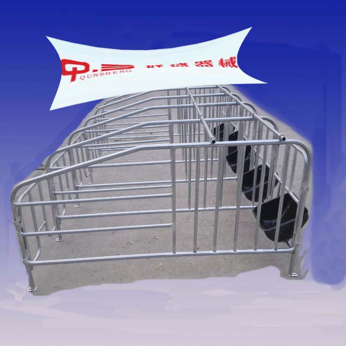 限位栏 母猪定位栏 肥猪栏猪圈猪笼猪舍养殖设备(母猪