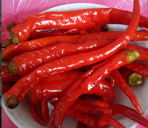 湖南特产酸辣椒 沅陵农家自制泡菜坛子酸辣椒 腌制红酸辣子调料