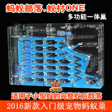 高级亚克力蚂蚁工坊 精典入门级宠物蚂蚁巢 蚁村ONE 蚂蚁部落
