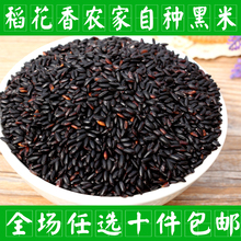 250g 五谷杂粮放心粗粮 无染色无常稻花香 黑大米 黑香米 黑米