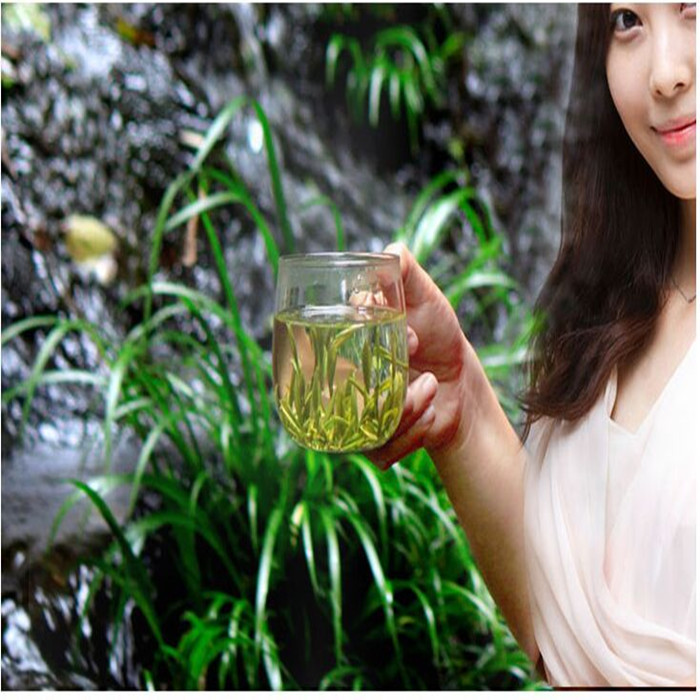 霍山黄芽2016新茶开春嫩芽新鲜直达霍山黄芽有机新品茶叶包邮哦