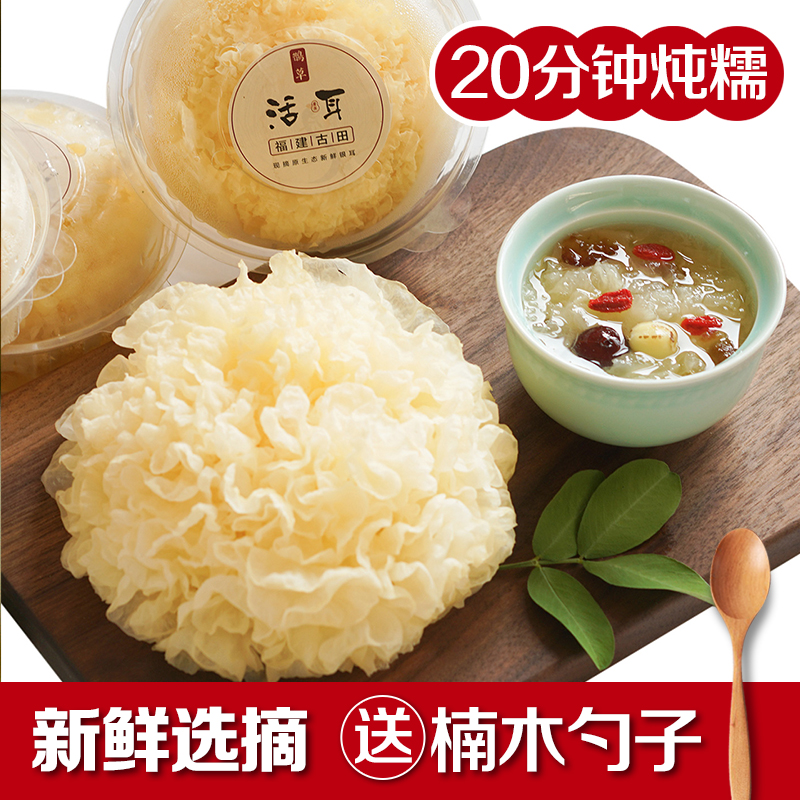 鹊草 古田正宗新鲜银耳活耳特级干货 白木耳雪耳糯丑耳无硫