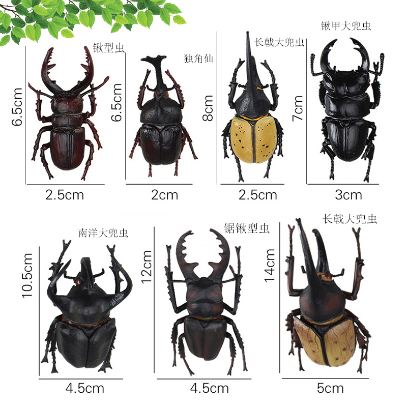 仿真甲虫锹甲大兜虫天牛独角仙昆虫模型实心塑料早教益智教具玩具
