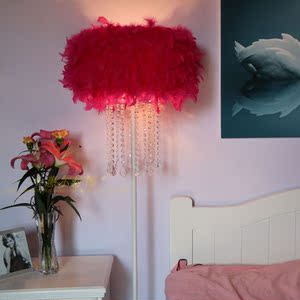 水晶羽毛白色立式落地灯婚庆客厅书房卧室床头
