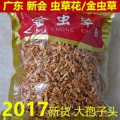 包邮 干货特级滋补精选孢子头菌种250g 金虫草花蛹虫草北虫草花正品