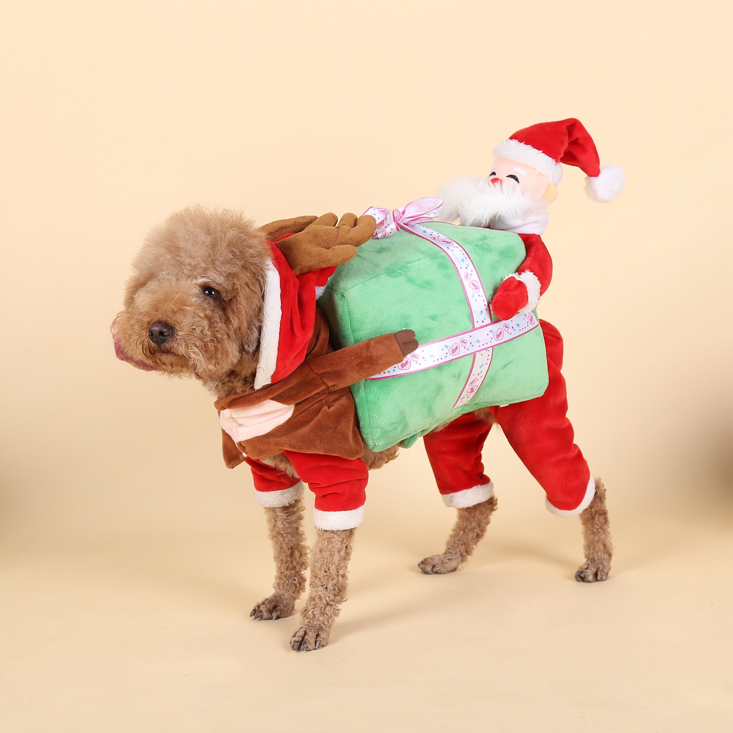 服]小泰迪狗狗衣服评测 泰迪狗狗衣服裁剪图图