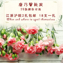 教师节鲜花批发 上海同城 包邮 昆明控塑芭发家庭鲜花订阅2扎顺丰