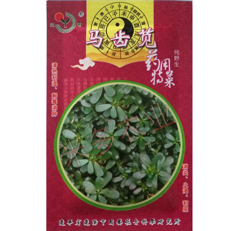 野生蔬菜种子野菜马齿苋种子五行草马齿菜蚂蚱菜荠菜大小叶荠菜种