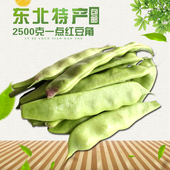 包邮 1箱 东北豆角新鲜特产蔬菜油豆角晚豆角一点红开锅烂5斤