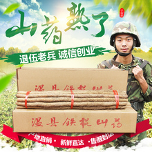 限区 包邮 焦作特产正宗温县铁棍山药河南铁杆淮山怀山 新鲜五斤装