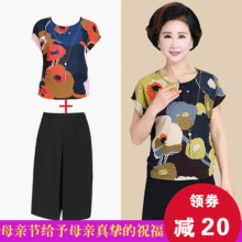 母亲节夏季中老年女夏装妈妈阔腿裤套装中年上衣四十岁女人的衣服