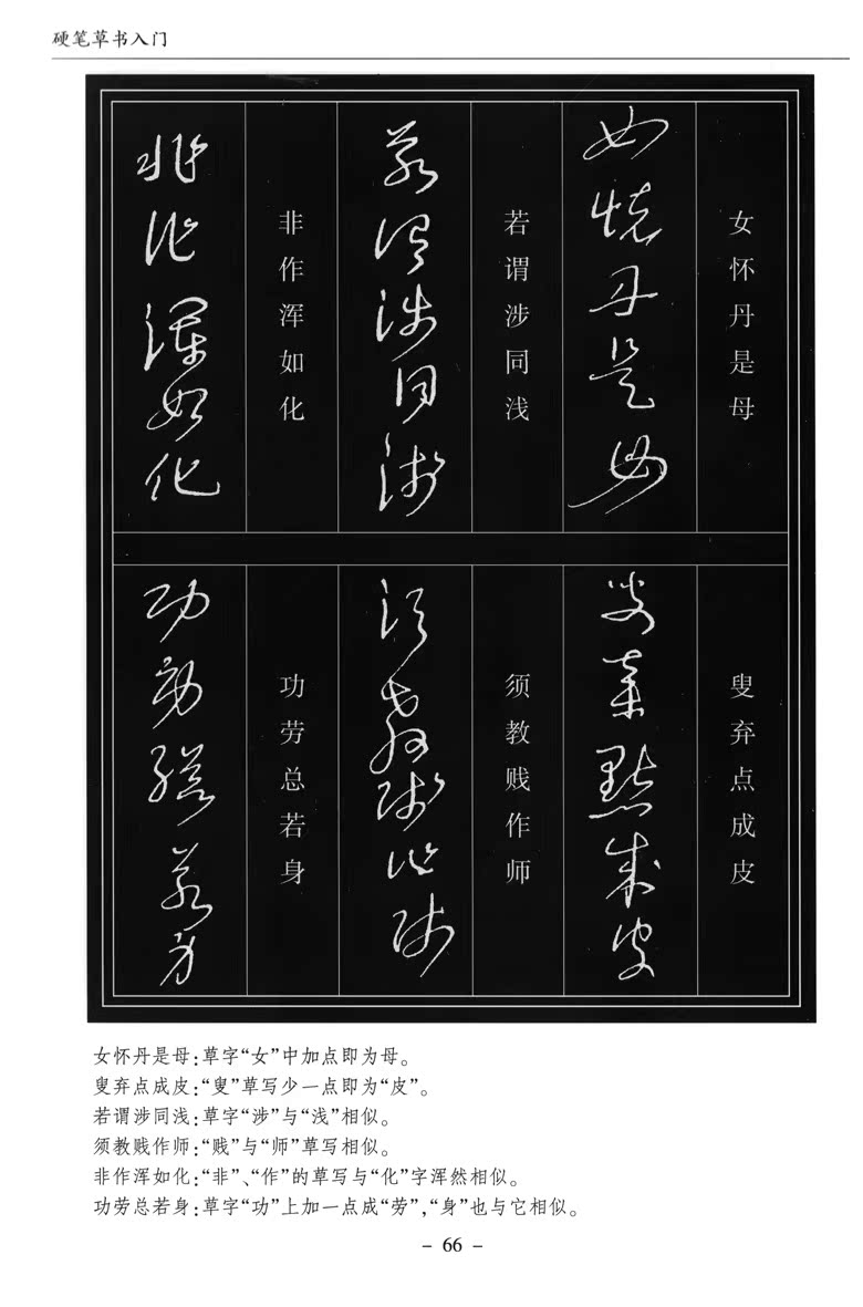 正版 硬笔草书入门 硬笔书法丛书 金盾出版社