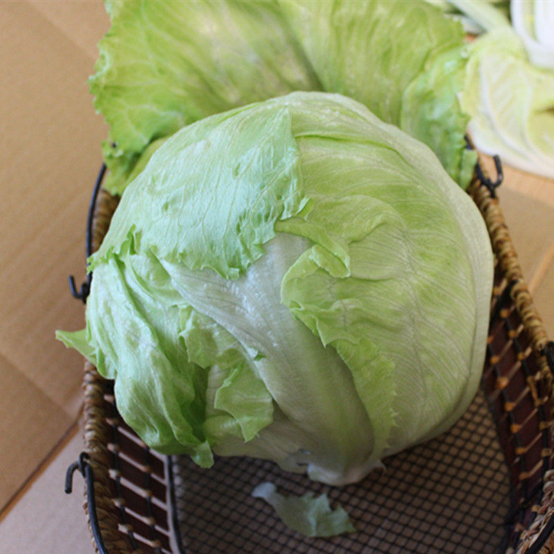 【天天特价】山东农家有机球生菜新鲜沙拉菜汉堡西生菜圆生菜4斤