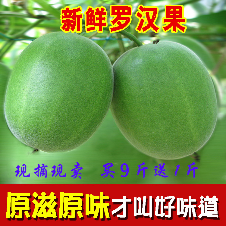 现摘广西桂林永福特级新鲜罗汉果生罗汉果3斤包邮 拍9斤送一斤