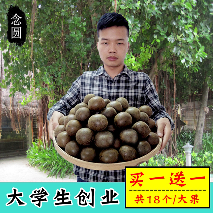 广西土特产农家罗汉果大果桂林永福野生特级罗汉果茶包邮18个盒装