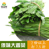鹅芥假元 西二份打8折 刺芹 包邮 傣味大香菜 新鲜刺芫荽泰国 1斤