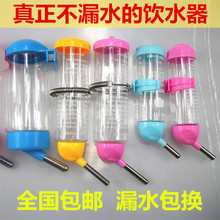 挂式包邮小宠饮水器饮水瓶龙猫 豚鼠 竺鼠荷兰猪兔子仓鼠大中小号