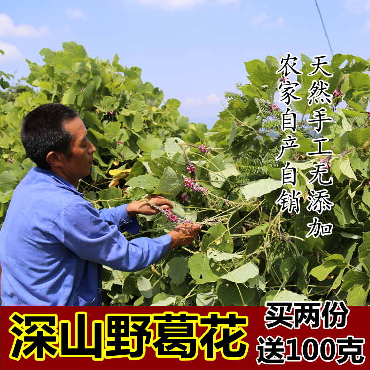 野生葛花茶正品葛花 葛根茶葛根花葛藤花 解酒茶 醒酒茶全国包邮