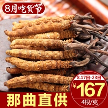 g顺丰 新鲜冬虫夏草野生正宗 包邮 西藏那曲虫草4根 冬虫夏草正品