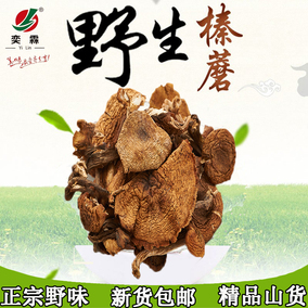 承德坝上天然野生肉蘑红伞蘑菇松树伞黑头东北野生菌2份包邮