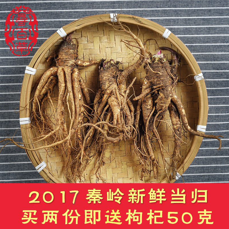 寻百草神农架野生新鲜当归中药材2016年鲜当归味道浓500g包邮