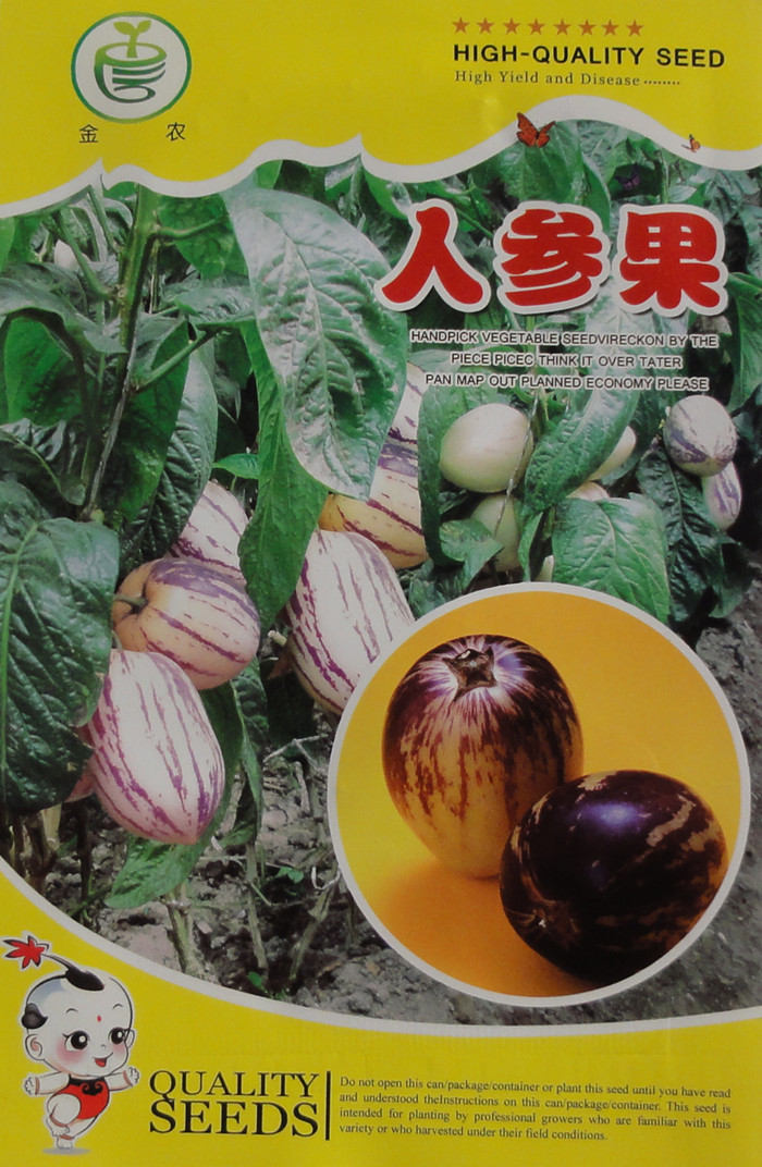 人生果种子/阳台庭院四季种植长寿果种子/瓜果籽种易播种特色蔬果