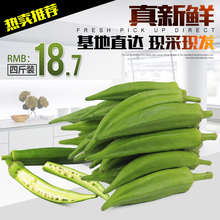 无公害蔬菜 农家蔬菜秋葵 包邮 新鲜黄秋葵 18.7元 新鲜秋葵 4斤