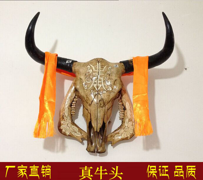牦牛头骨工艺品 真牛头装饰品 牛羊头骨标本 特色手工艺品牛头