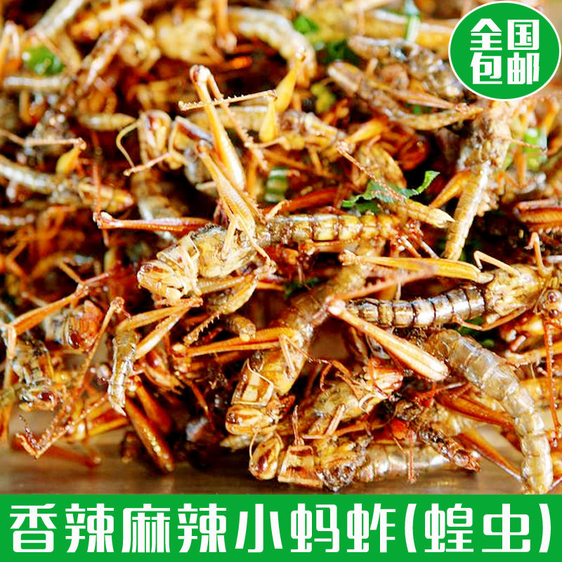 贵州特色香辣味油炸蚂蚱蝗虫美食虫子小吃蚱蜢炸昆虫零食150g包邮