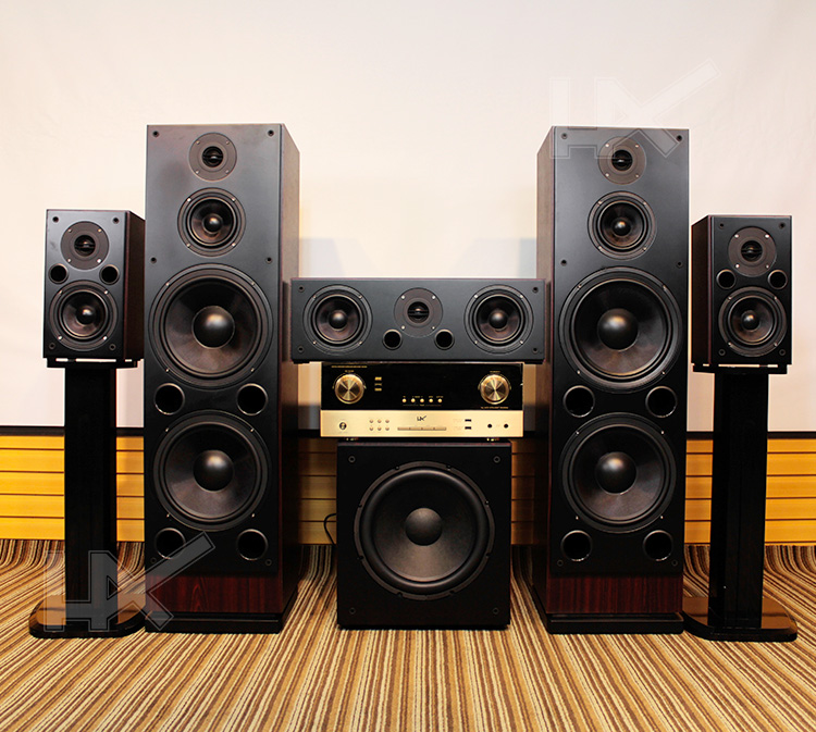 1家庭影院音箱套装双10寸hifi家用低音炮音响功放