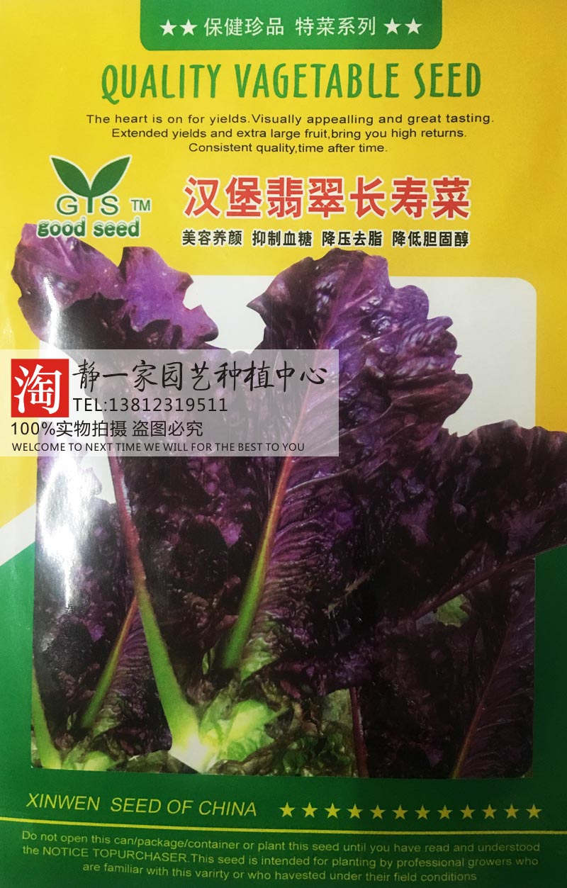 原装汉堡长寿菜种子 特色保健蔬菜 补血菜 四季蔬菜种子阳台盆栽