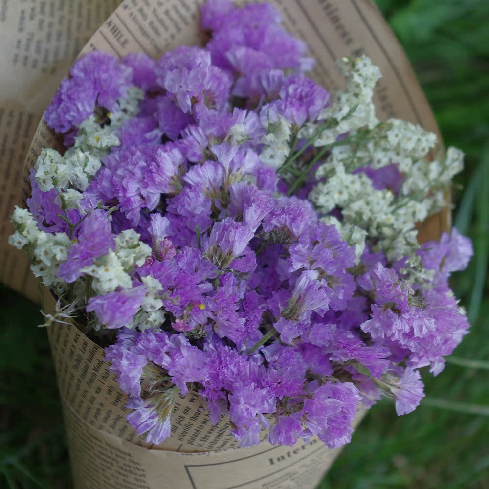 真干花勿忘我水晶草情人草包装迷你小花束送人礼物摄影道具毕业礼