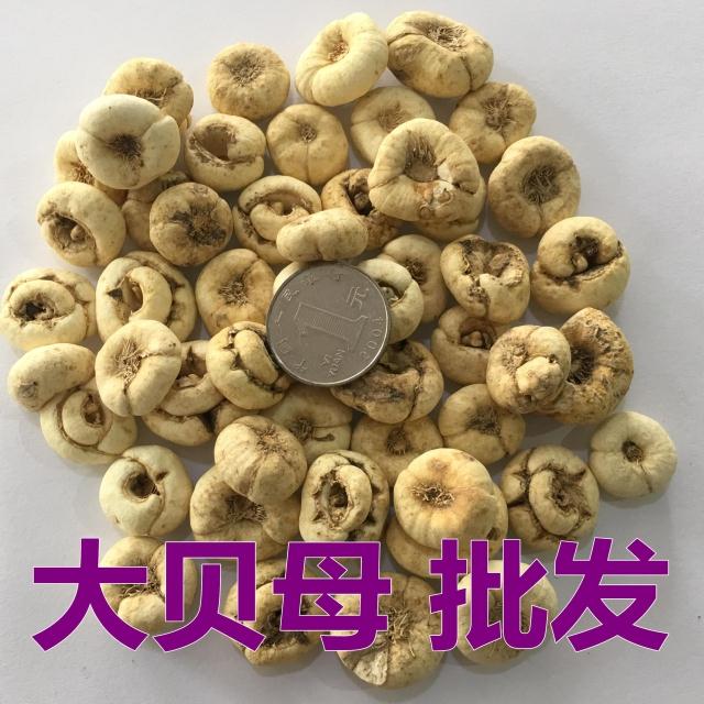 大贝母 川贝母 半野生 松贝 平贝 500克包邮 中药材供应免费打粉
