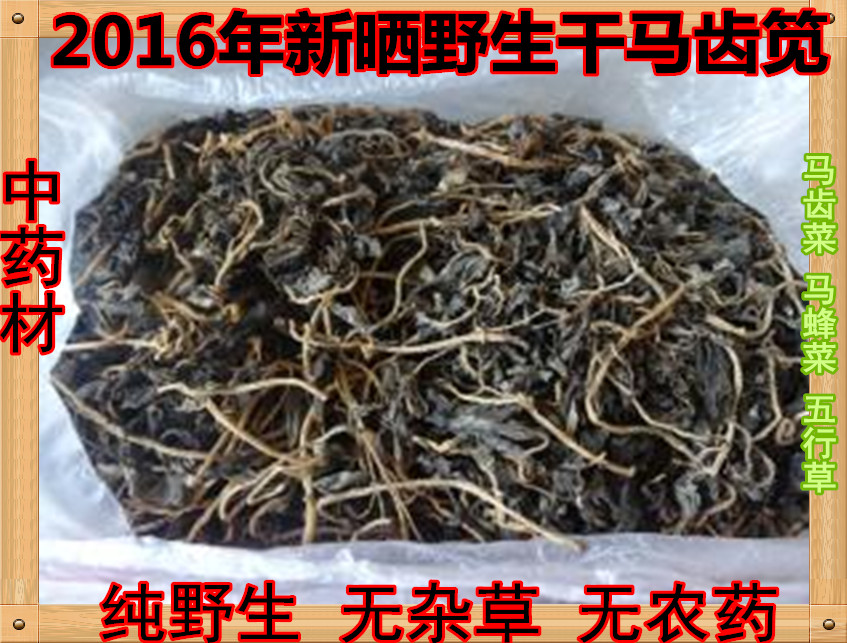 16年新晒干马齿苋中药材马齿草马齿菜五行草长命菜250克 2份包邮