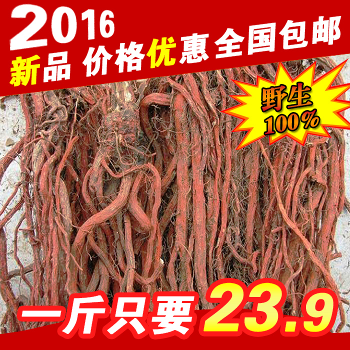 2016年新丹参 丹参条丹参段紫丹参片丹参茶 无硫特级中药材野生